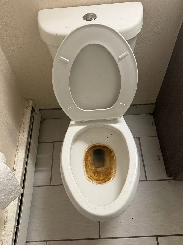 Before: toilet with a heavy stain in the bowl.