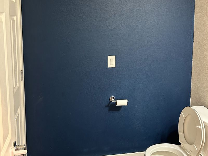 Before: half bathroom wall painted dark navy blue behind the toilet.